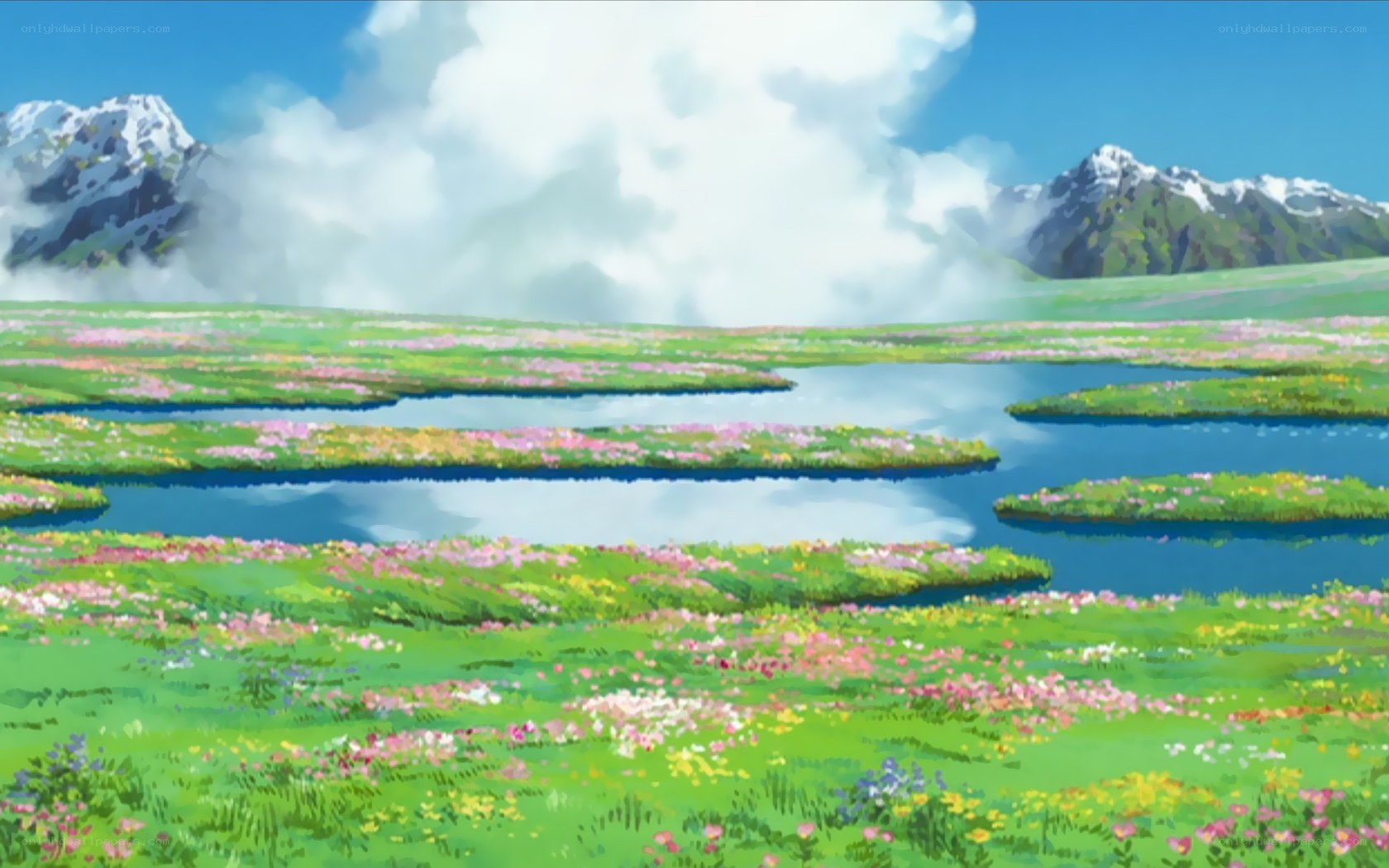 Floral meadow with mountains