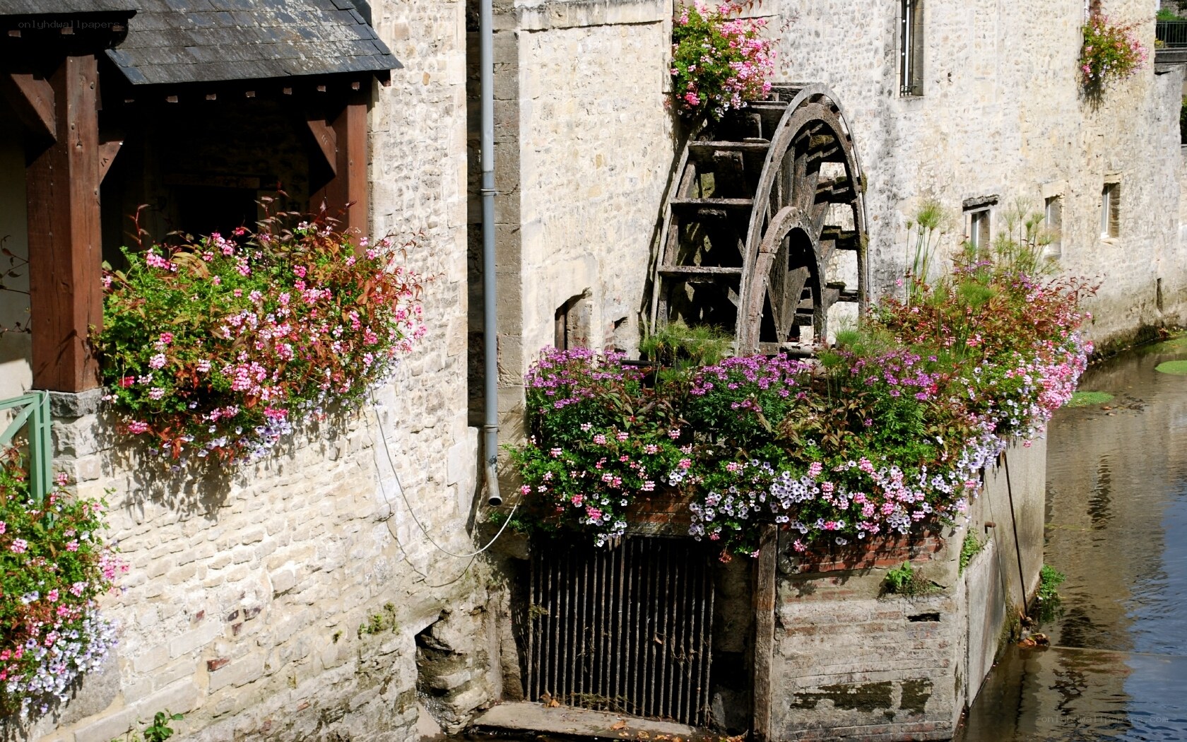 Floral mill by the river