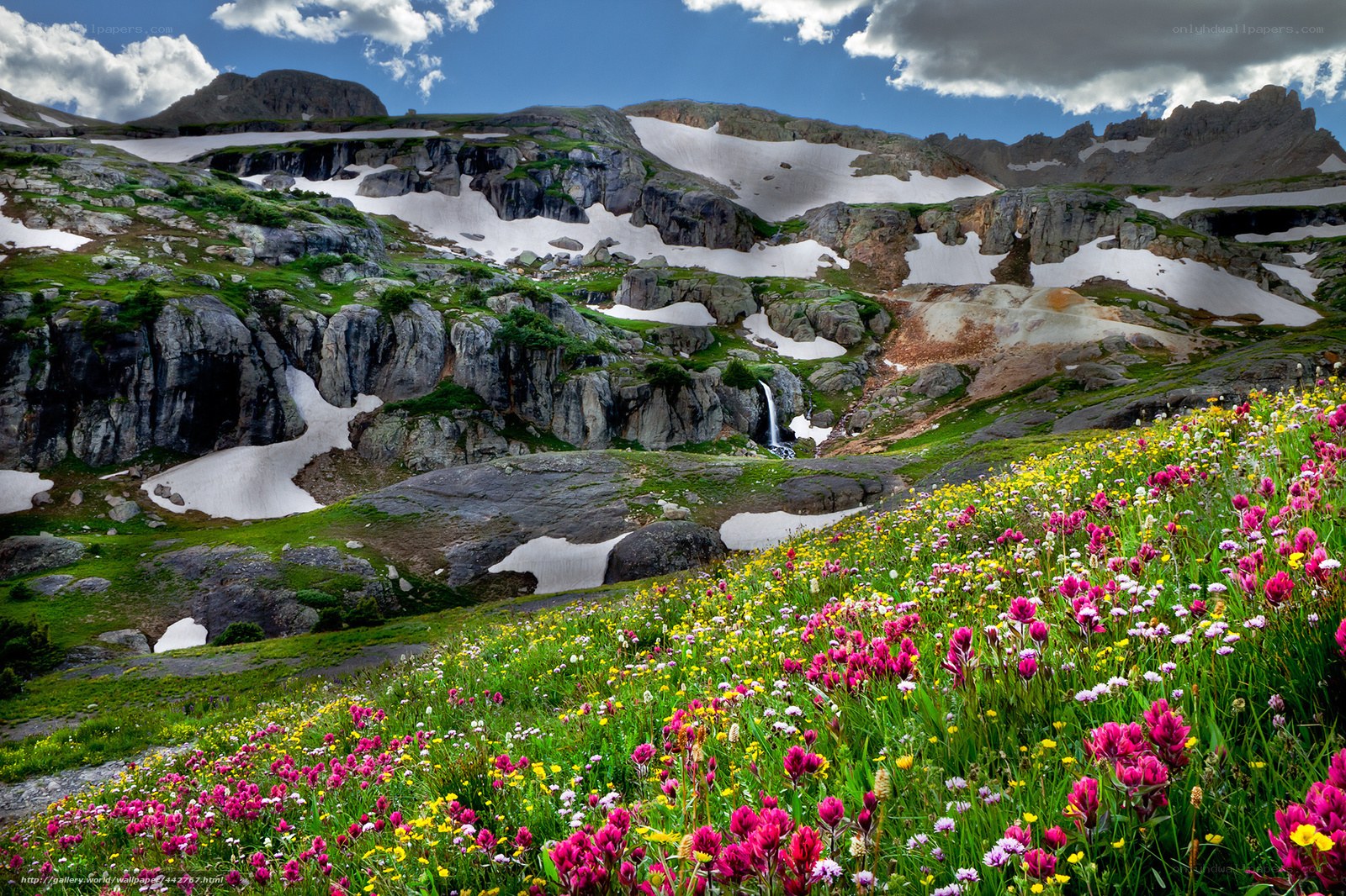 Floral mountain landscape with snow