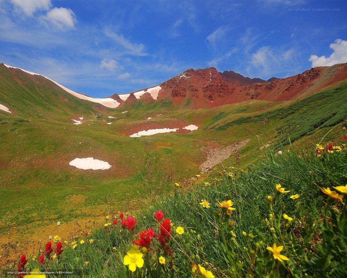 Floral mountain valley