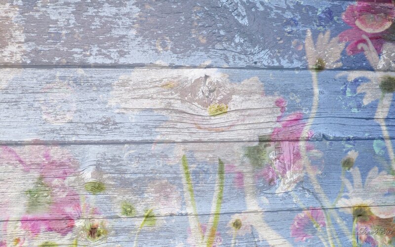 floral overlay on weathered wood