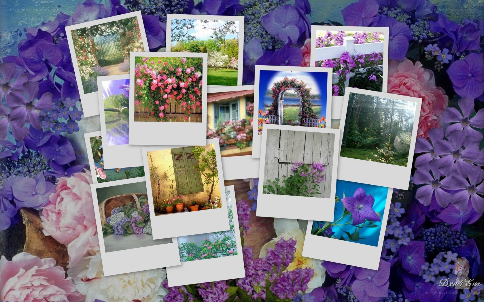 Floral photo collage