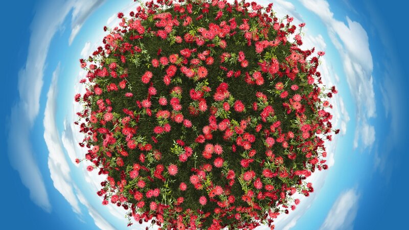 Floral planet in sky