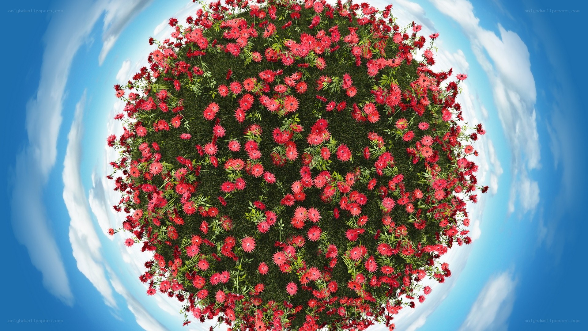 Floral planet in sky