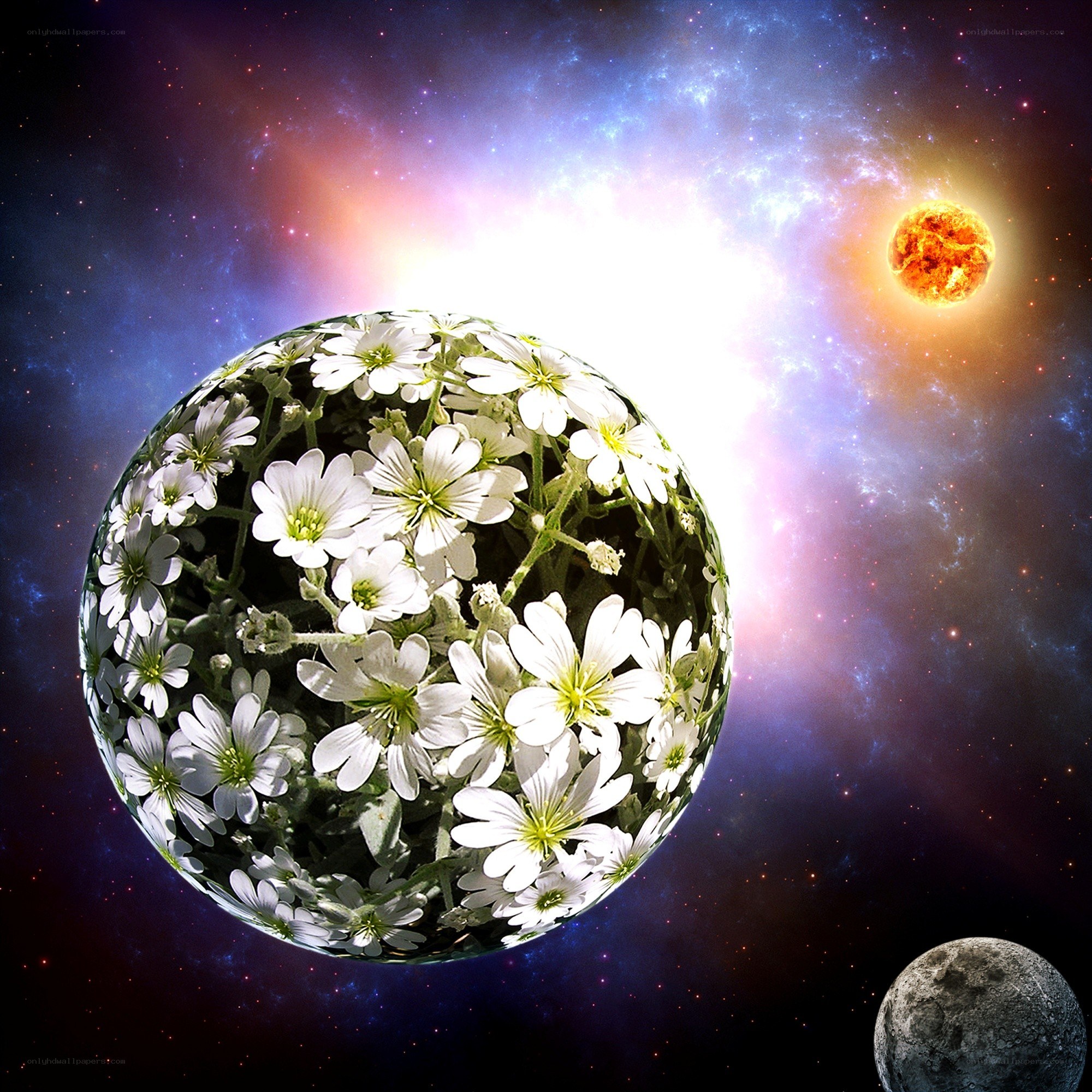 Floral planet in space