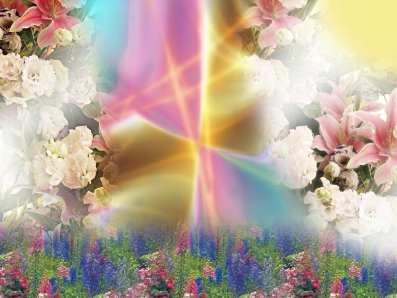 Floral scene with radiant light