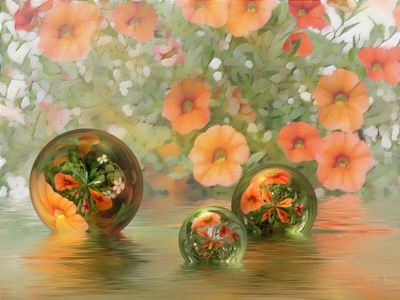 Floral spheres in water