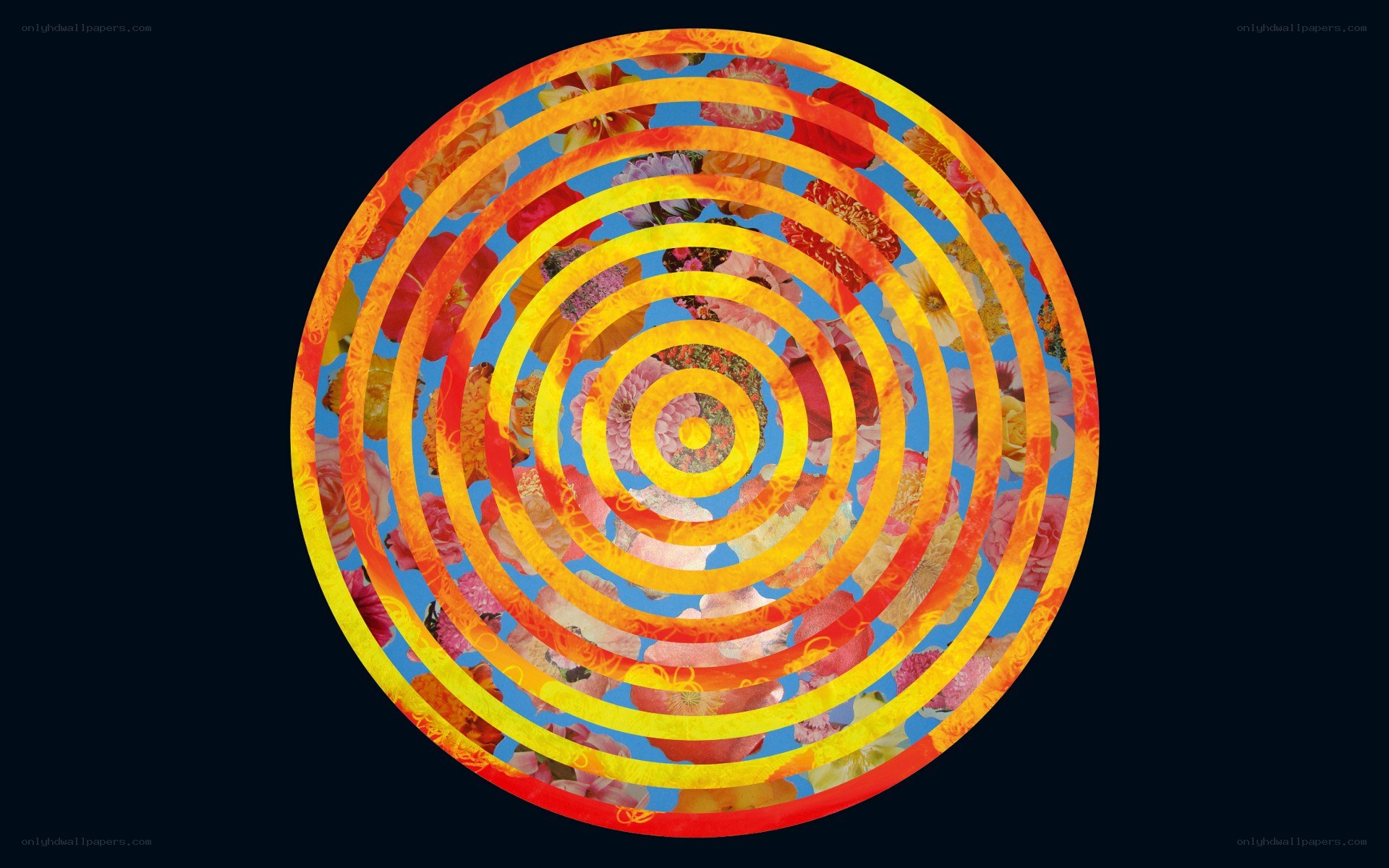 Floral spiral mandala