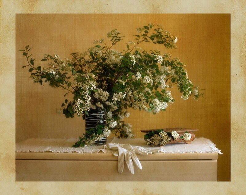 Floral still life with gloves