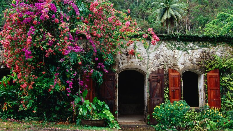 Floral stone house in tropical garden