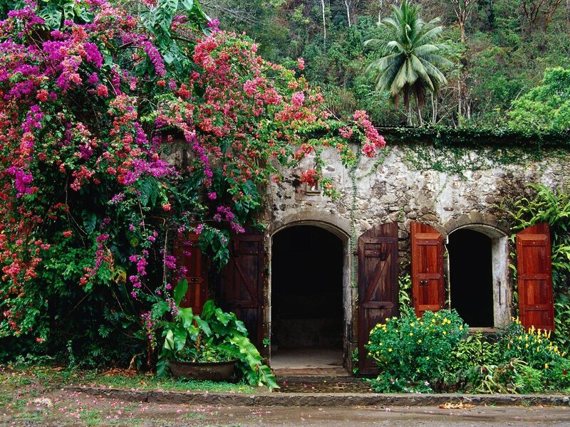 Floral stone house in tropical garden
