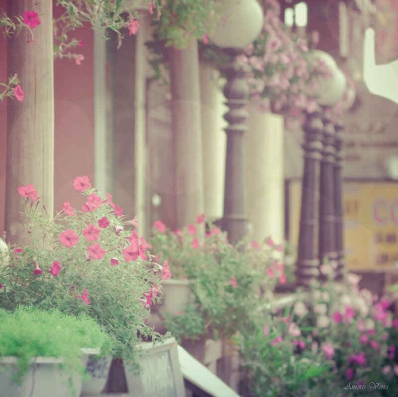 Floral street scene with vintage filter