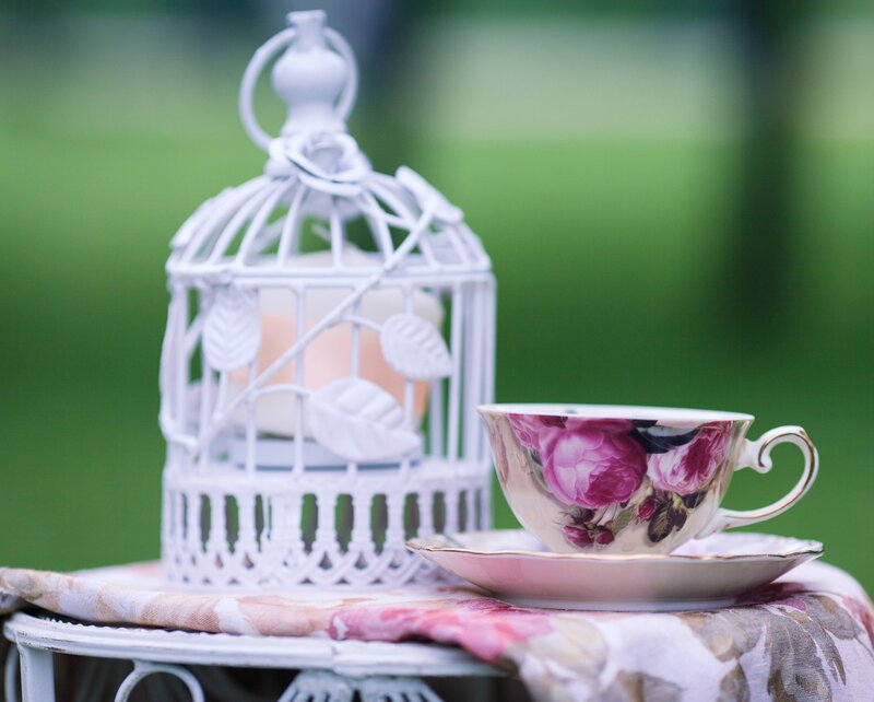 Floral Teacup and Birdcage