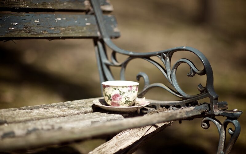 Floral Teacup on Bench