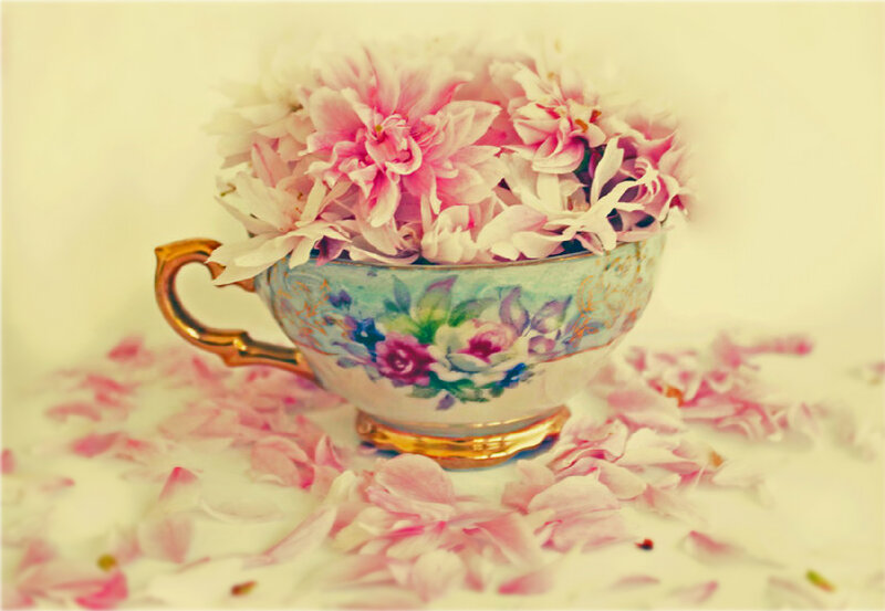Floral Teacup with Petals — Pink