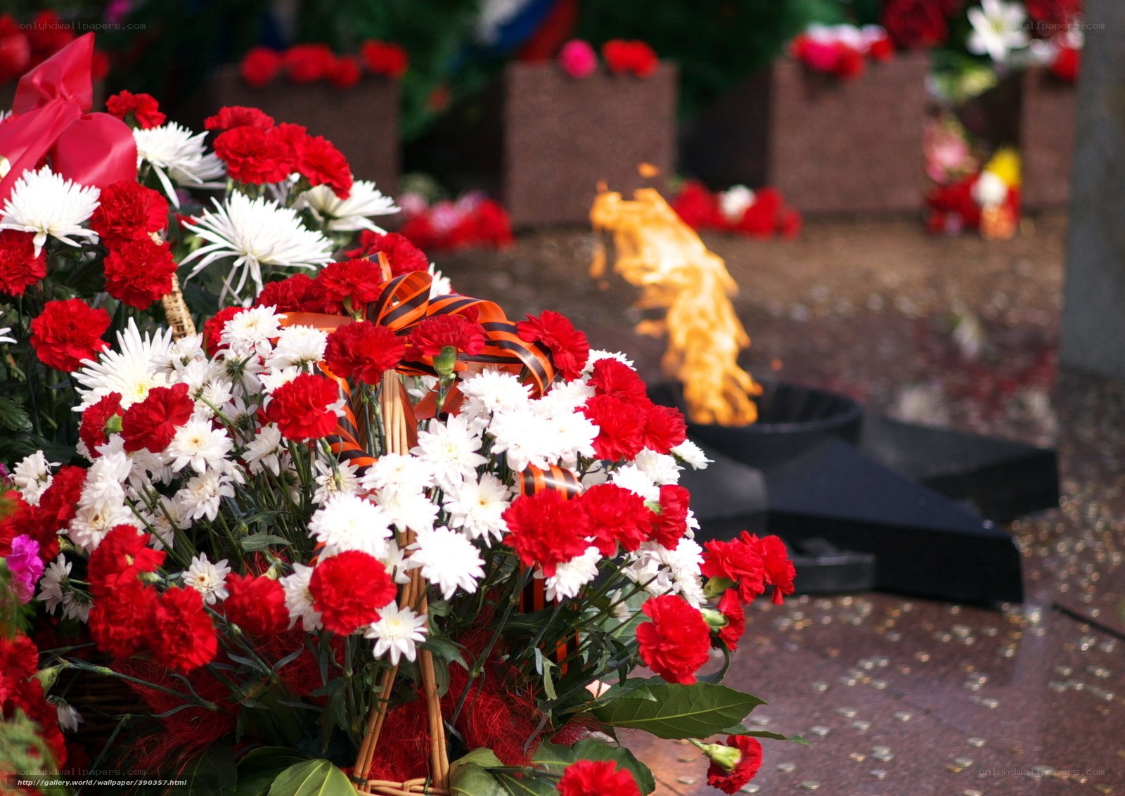 Floral tribute at eternal flame