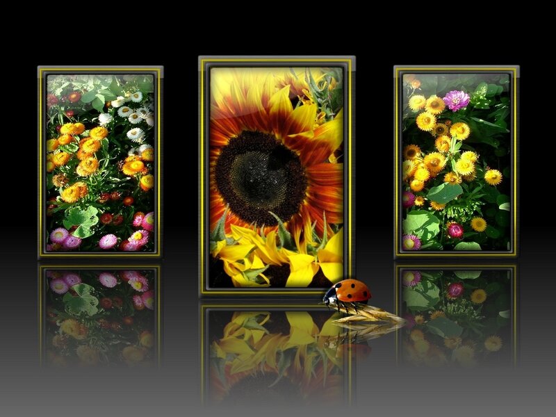 Floral triptych with ladybug