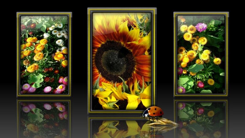 Floral triptych with ladybug