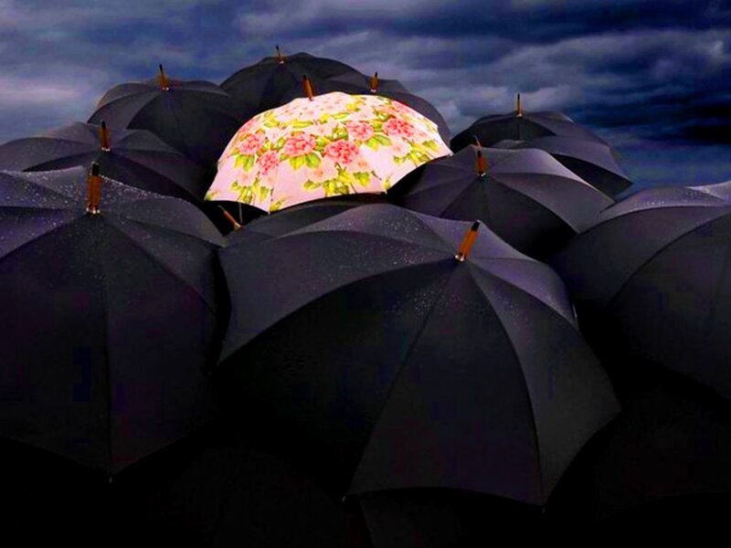 Floral Umbrella Among Black Ones — Dramatic, Night