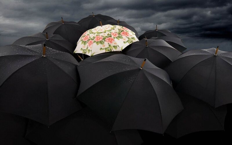 Floral umbrella among black ones