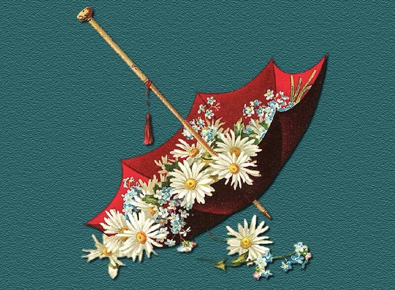 Floral umbrella illustration