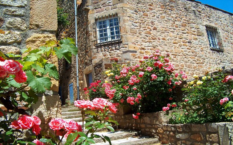 Floral village scene with stone building