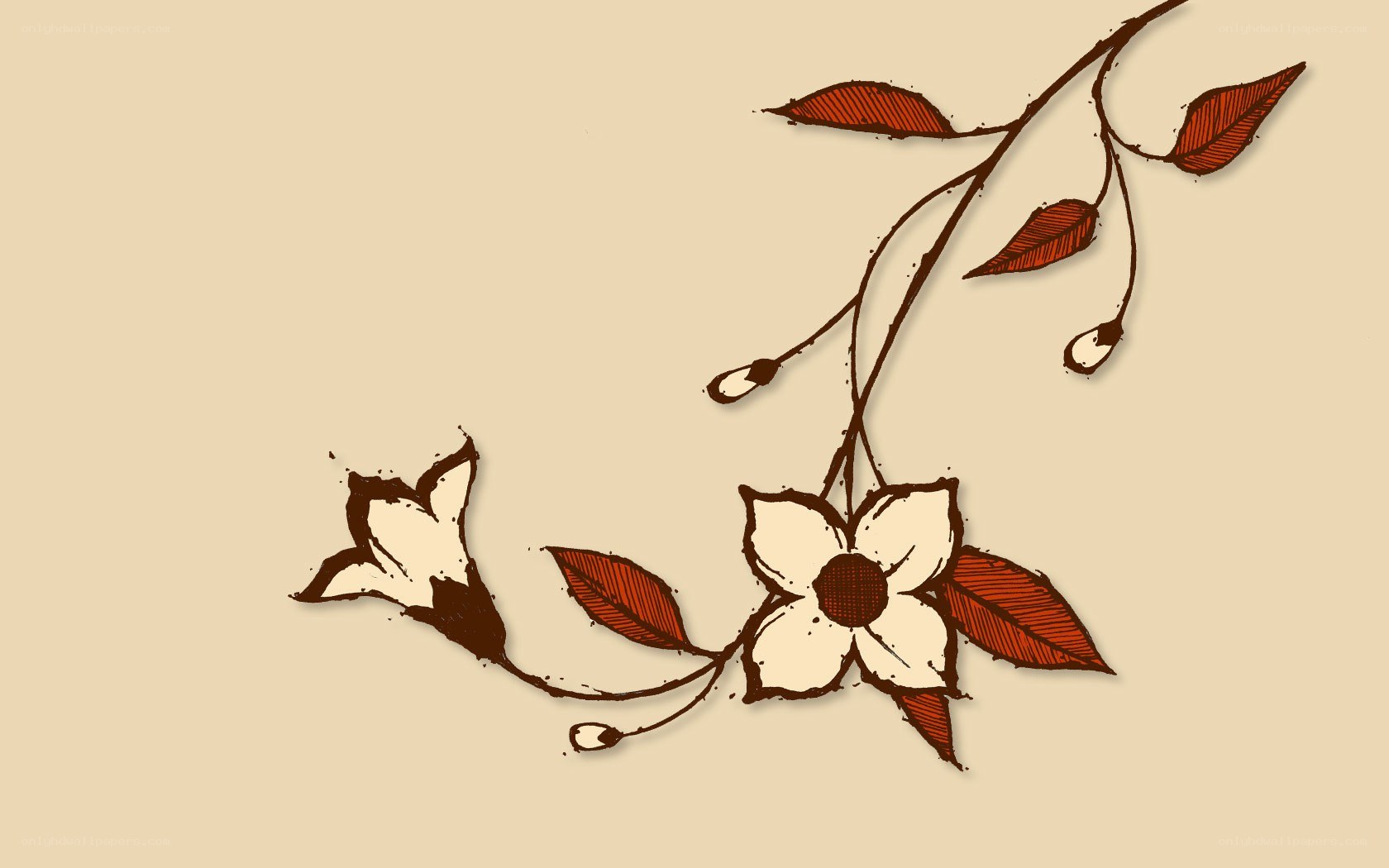 floral vine illustration