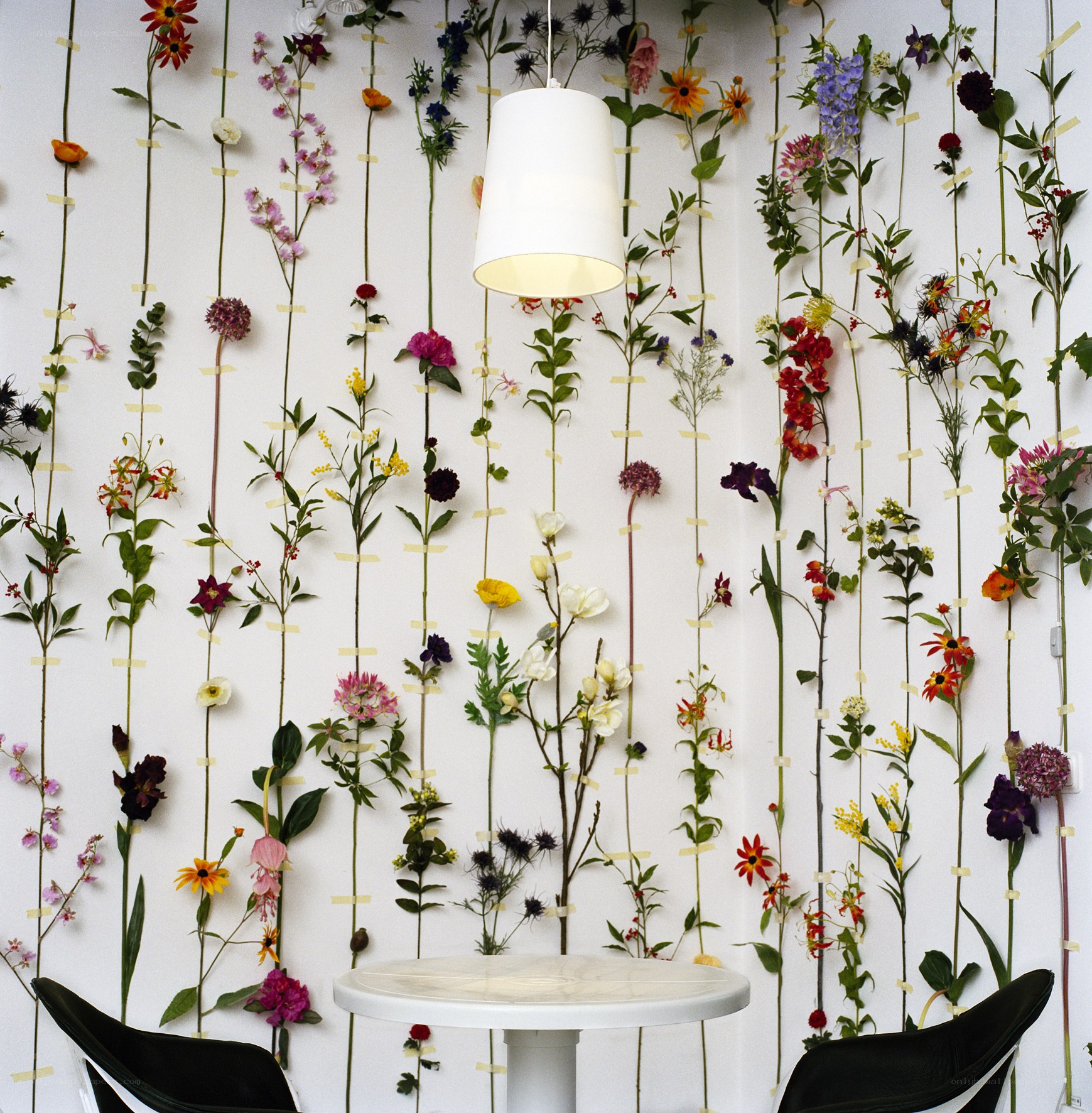 Floral wall art installation