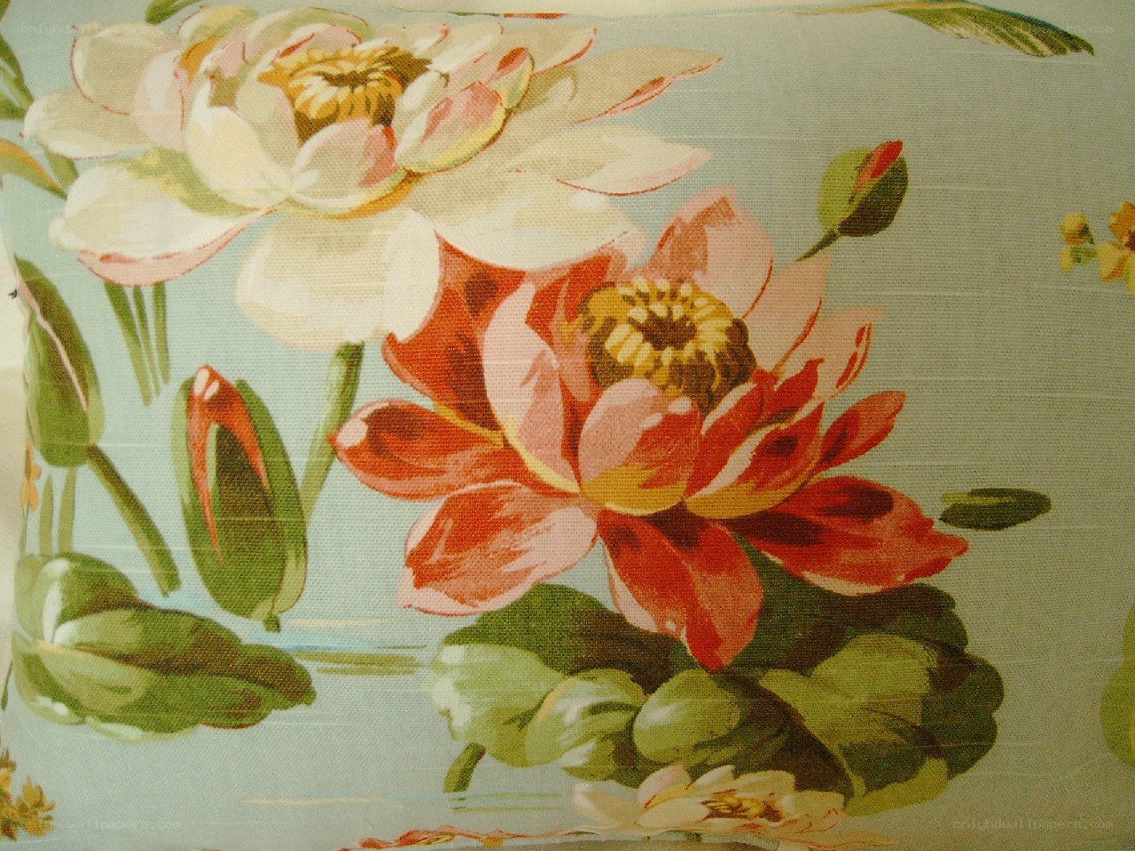 floral water lily pattern