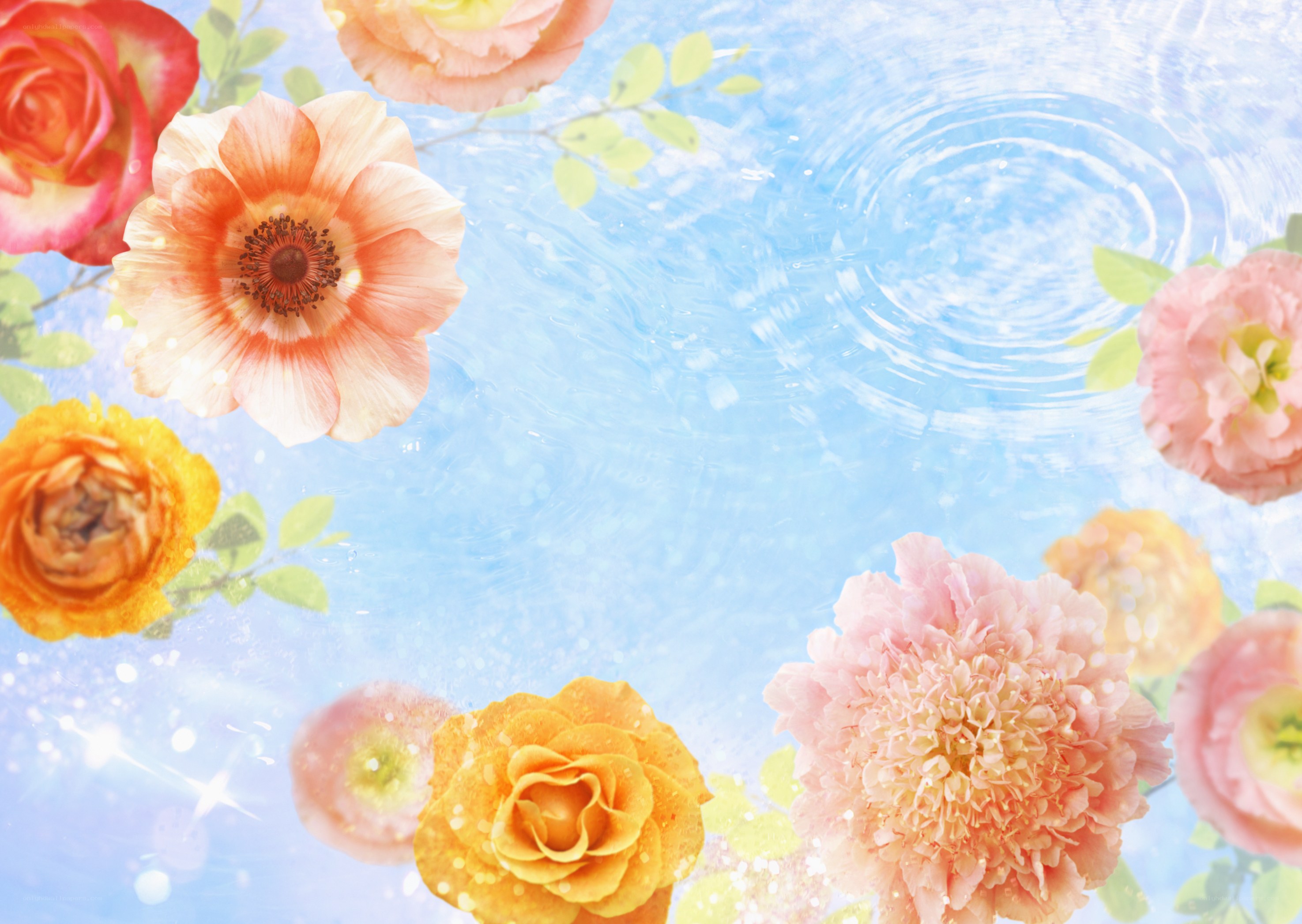Floral water ripple background