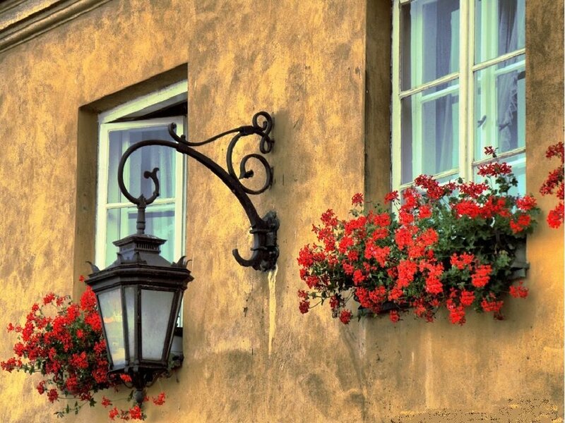 Floral window boxes and lantern