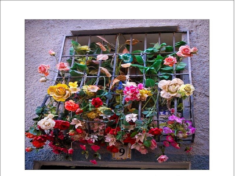 Floral window display