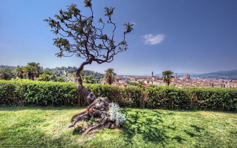 Florence city view from garden