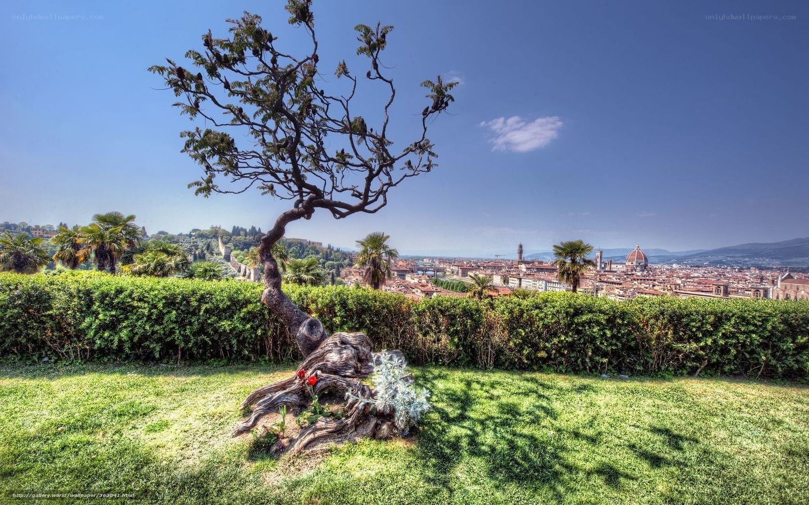 Florence city view from garden