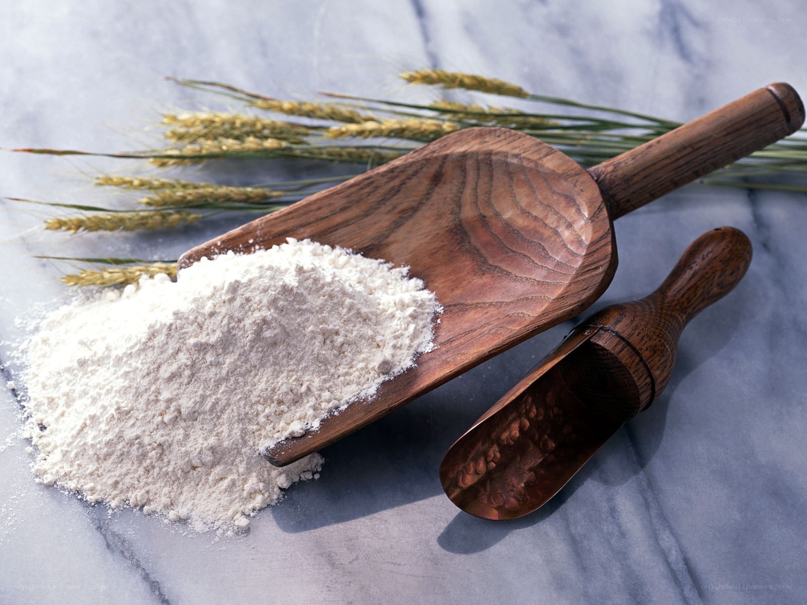 flour and wheat stalks