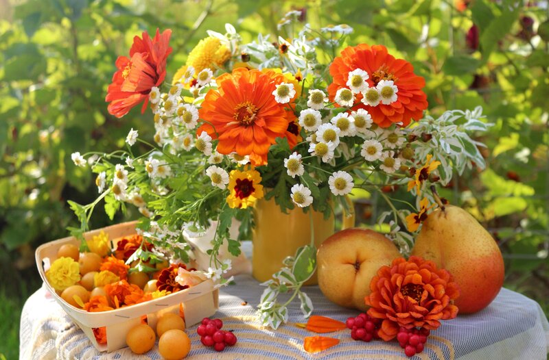 Flower and Fruit Arrangement — Orange