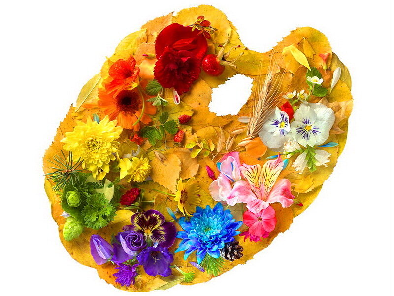 Flower and Leaf Arrangement