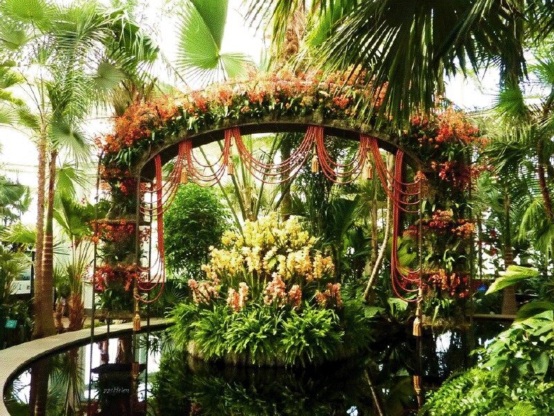 Flower Arch in Greenhouse