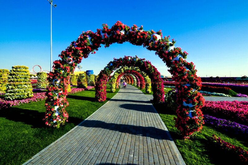 Flower Arches in Garden — Blue