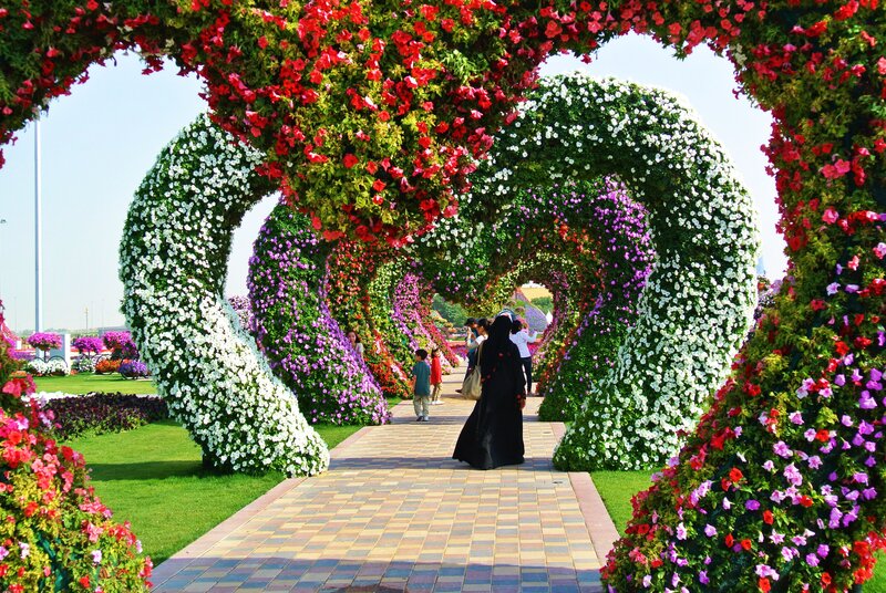 Flower Arches in Garden — Green