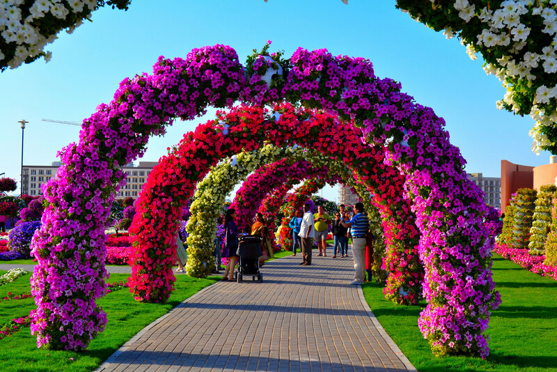 Flower Arches in Garden