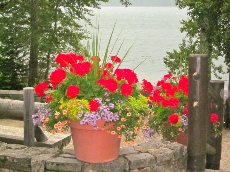 Flower Arrangement by Lake