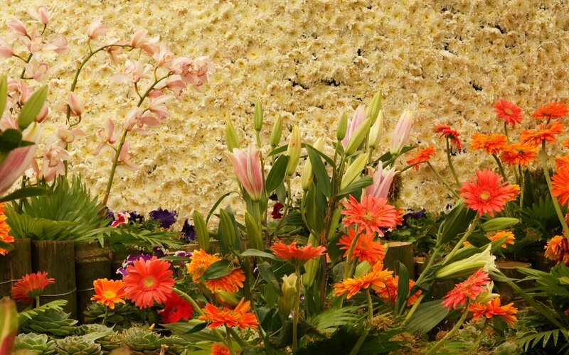 Flower Arrangement Display — Orange