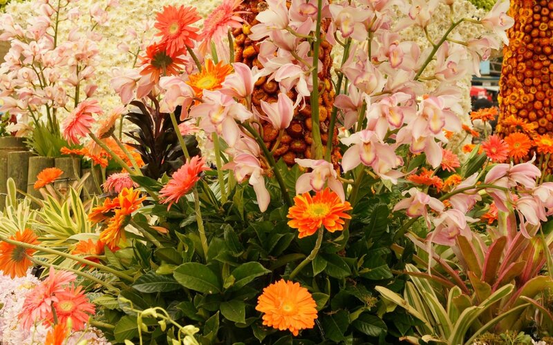 Flower Arrangement Display — Pink