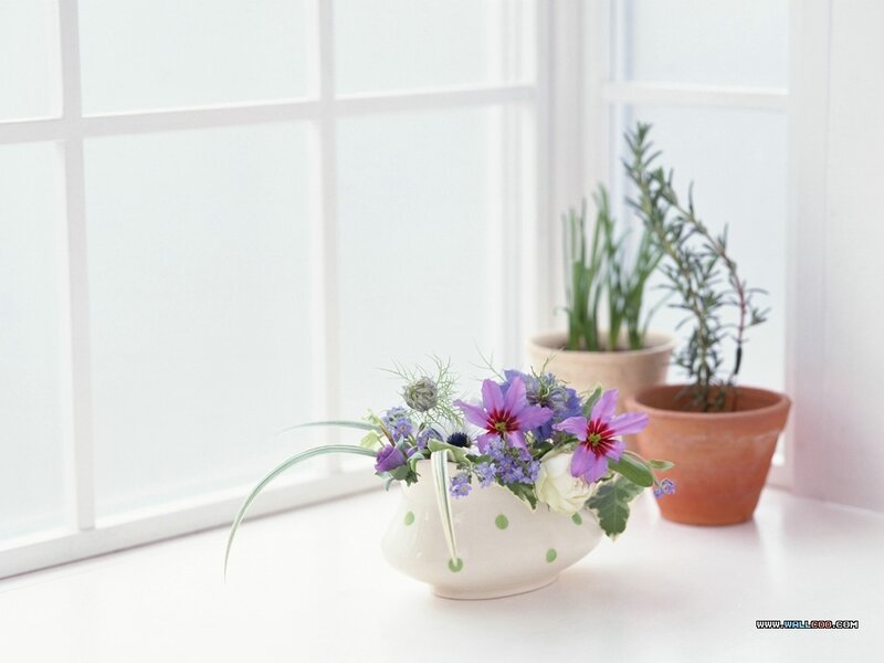 Flower Arrangement in a Bowl