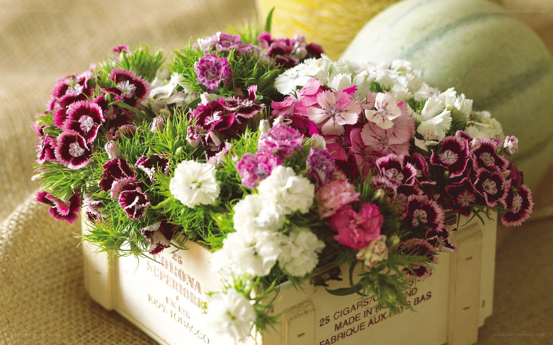 Flower arrangement in a crate