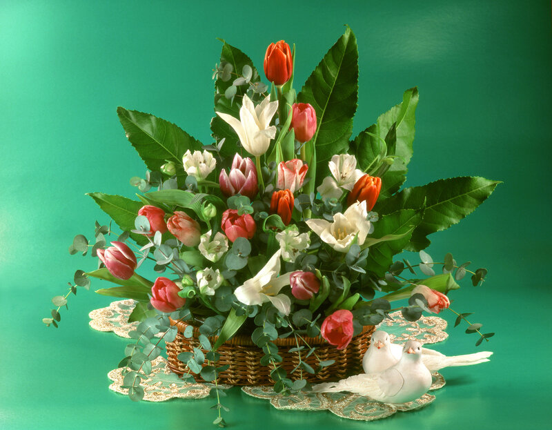 Flower Arrangement in Basket — Green, Serene, Photograph