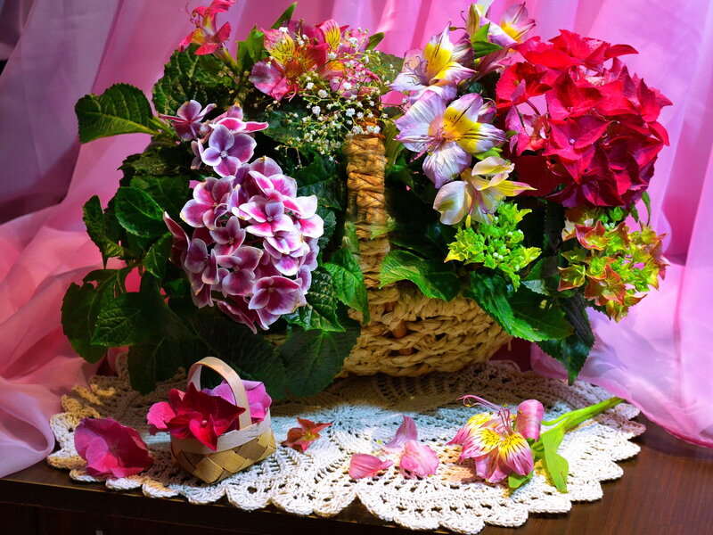 Flower Arrangement in Basket — Pink, Calm, Photograph, Doily