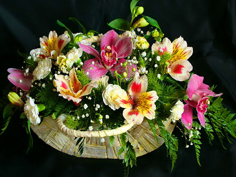 Flower Arrangement in Basket — Pink, Calm