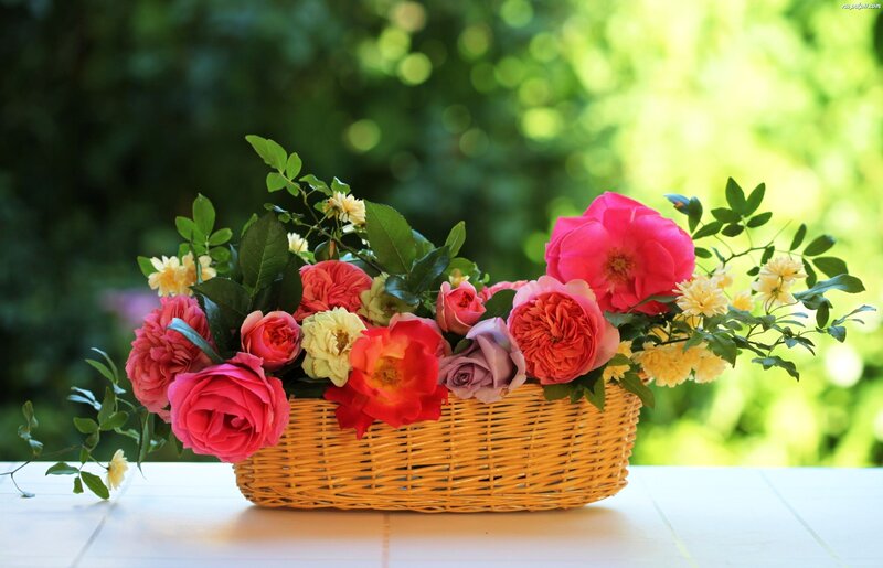 Flower Arrangement in Basket — Pink, Serene, Afternoon, Photograph, Flowers